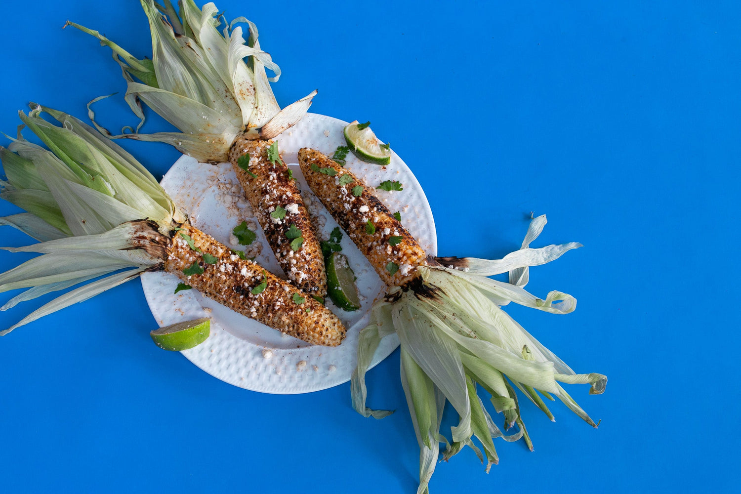 Elotes All Day, Everyday