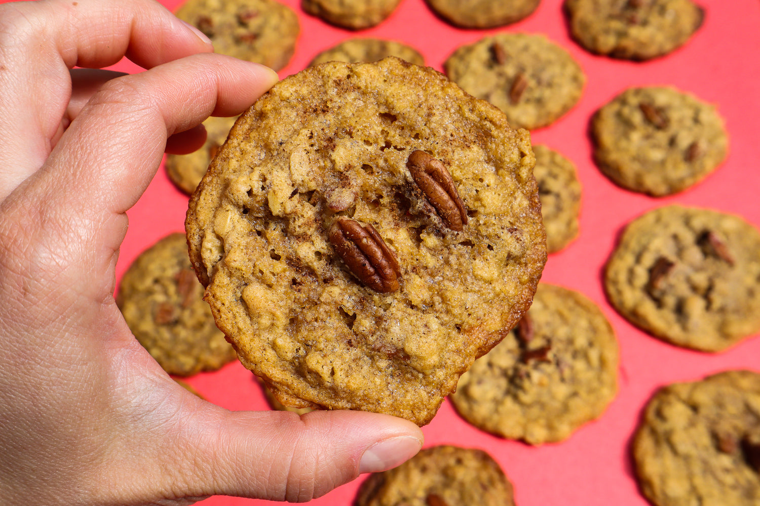 Pumpkin Pie spiced cookies