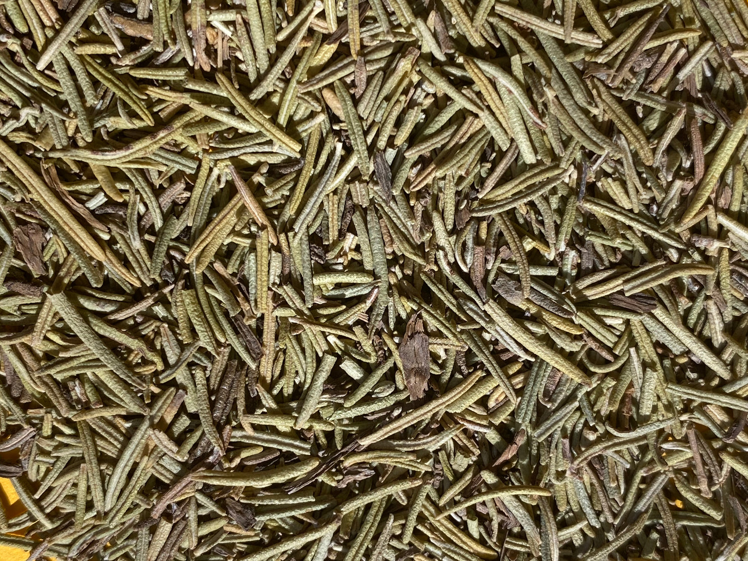 Spice Advice: Rosemary
