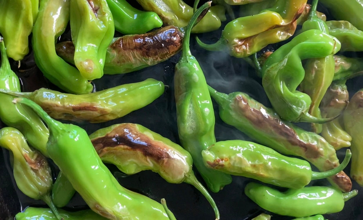 Chilli Salt Charred Shishito Peppers