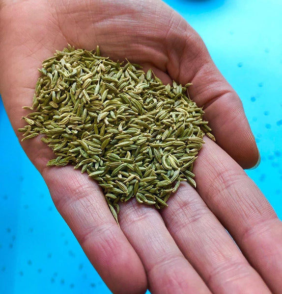 Spice Advice Fennel Seed Spicewalla