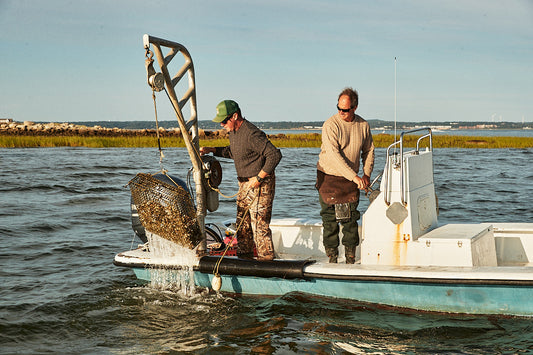 Maker's Spotlight: Island Creek Oysters