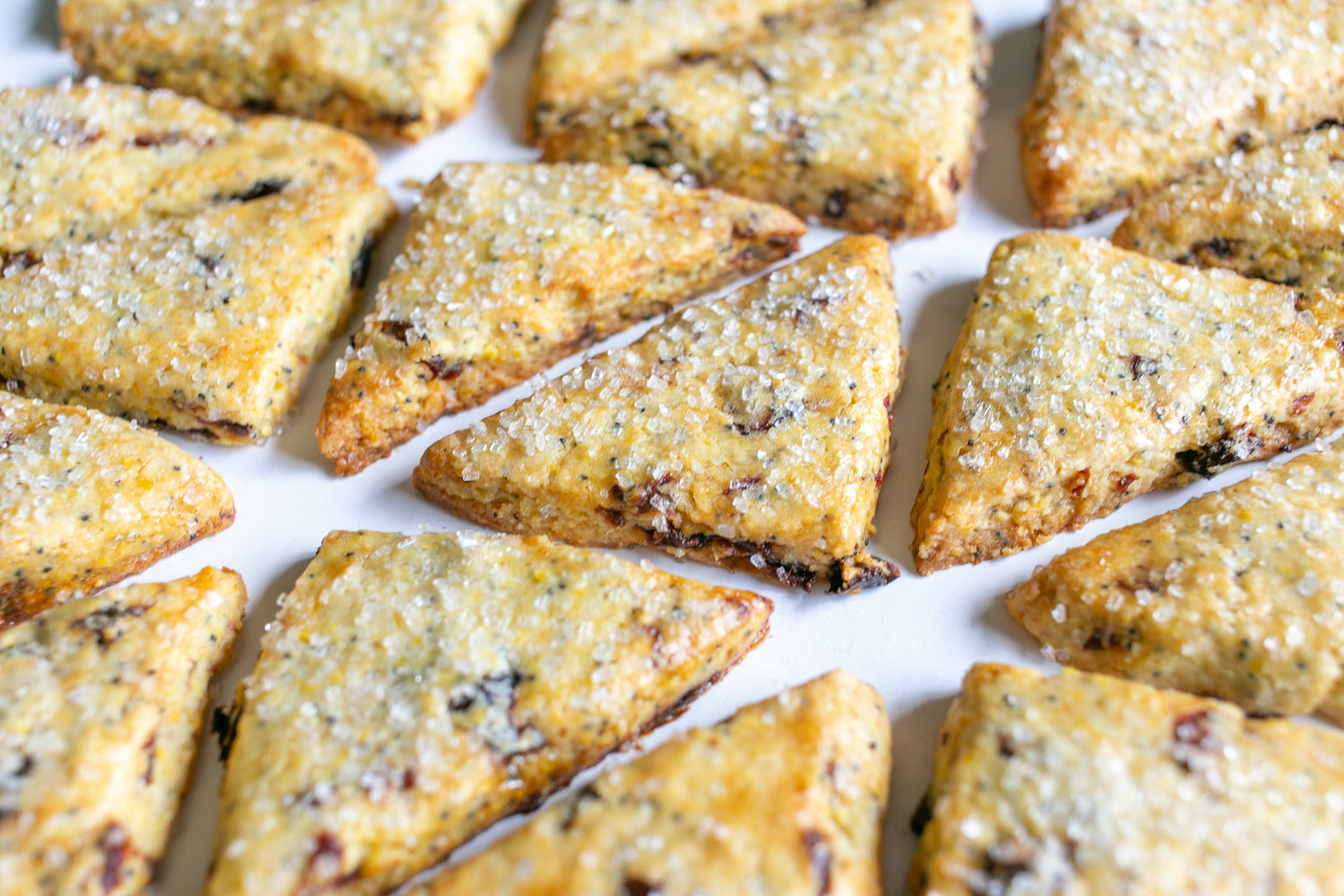 Polenta Cookies
