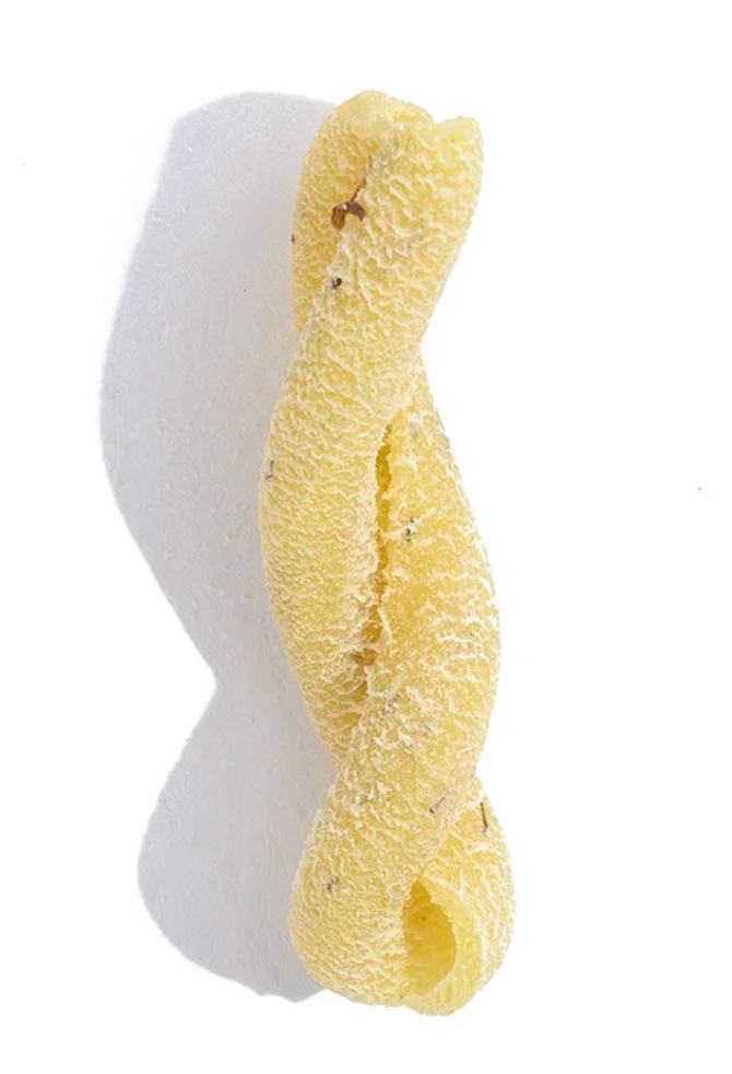 Lemon Basil Gemelli - Scratch Pasta