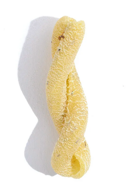 Lemon Basil Gemelli - Scratch Pasta